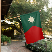 ミネソタ州旗（ワイルドカラー）