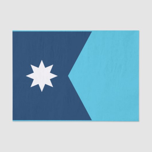 ミネソタ州旗 薄葉紙 (正面)