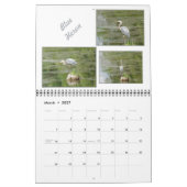 ミネソタ2025年カレンダーの野鳥 カレンダー (3月 2027)