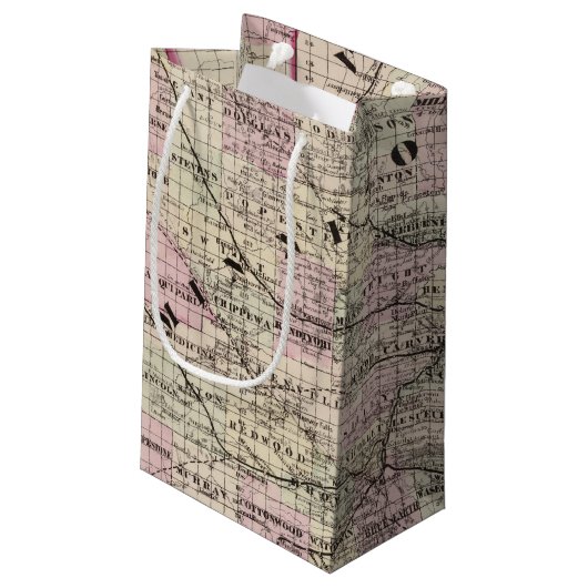 ミネソタ9 スモールペーパーバッグ (裏面アングル)