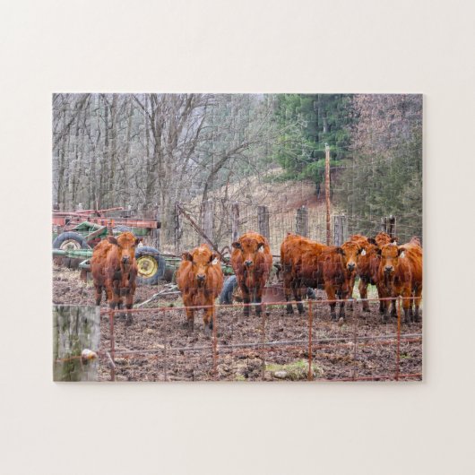 ミネソタ・カルブスの写真。 ジグソーパズル (横)