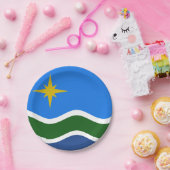 ミネソタ、ダルース国旗 ペーパープレート (パーティー)