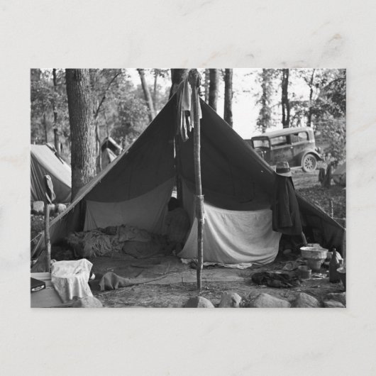 ミネソタ・ブルーベリーピッカーズ， 1937 ポストカード (正面)