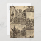 ミネソタ・リトグラフ・セント・ポール ポストカード (正面/裏面)