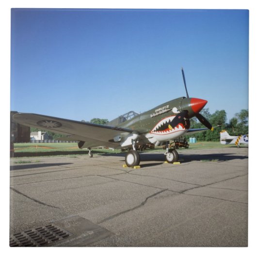 ミネソタCAFのエア・ショーのCurtiss P-40 Warhawk、 タイル (正面)