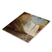 ミネハハ滝、ア素晴らしートバイアルバートビアシュタット タイル (側面)