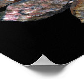 ミネラルズロックコレクターおもしろい ポスター (角)