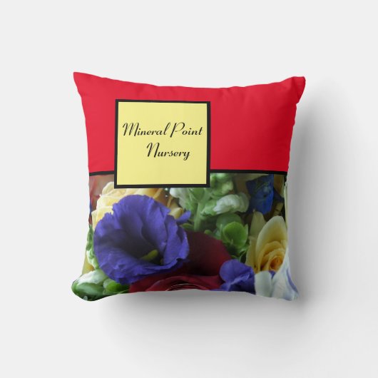 ミネラルポイント子供部屋 クッション (正面)