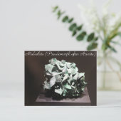 ミネラル& Gems # 117 ポストカード (スタンド正面)