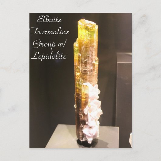 ミネラル& Gems # 176 ポストカード (正面)