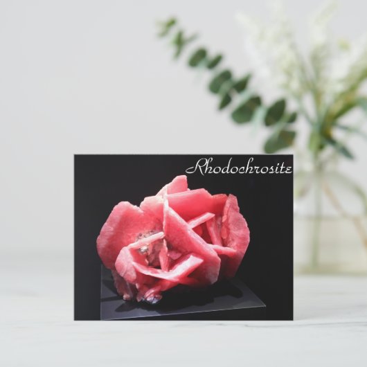 ミネラル& Gems # 80 ポストカード (スタンド正面)