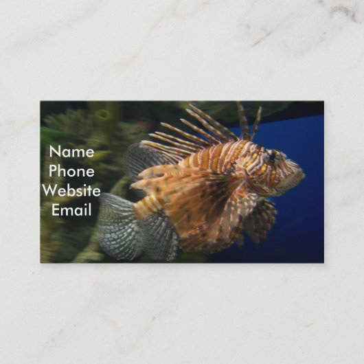 ミノカサゴのプロフィールカード 名刺 (正面)