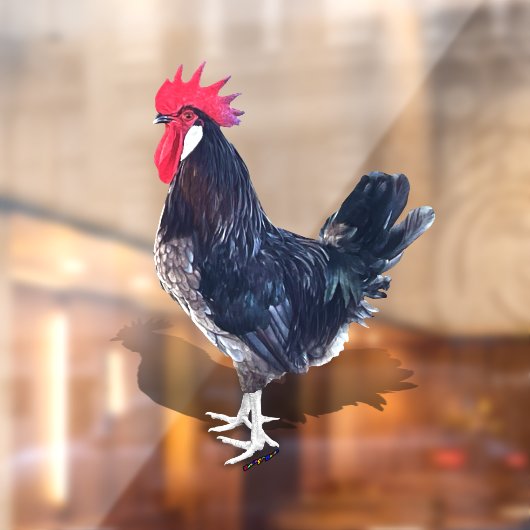 ミノルカ・ルースター ウィンドウサイン (シート2)