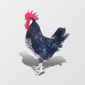 ミノルカ・ルースター ウィンドウサイン (シート)