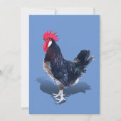 ミノルカ・ルースター サンキューカード (正面)