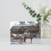 ミハスの馬車 ポストカード (スタンド正面)