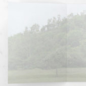 ミハー・ババ、隠遁の丘、愛の種 三つ折り案内状 (内部最初)