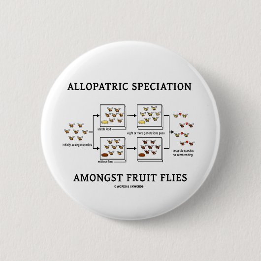 ミバエの中のAllopatric種形成 缶バッジ (正面)