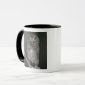 ミミズク科の鳥 Eastern Screech-Owl Megascops asio Otus 2 マグカップ (正面左)