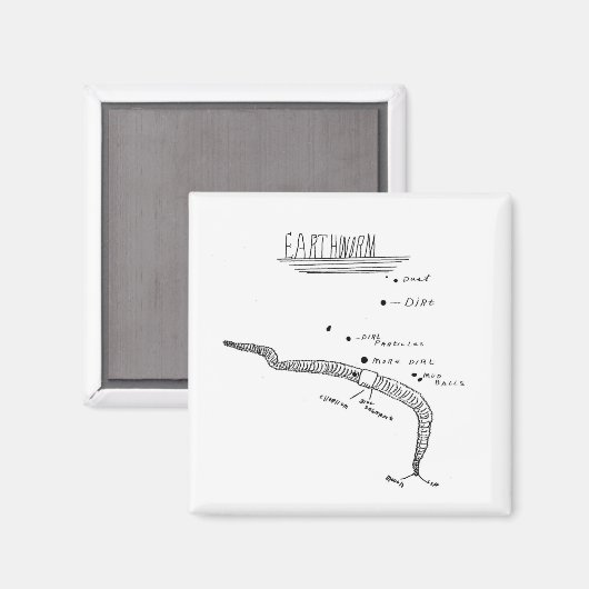 ミミズ解剖学 マグネット (正面/裏面)