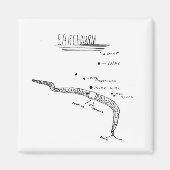 ミミズ解剖学 マグネット (正面)