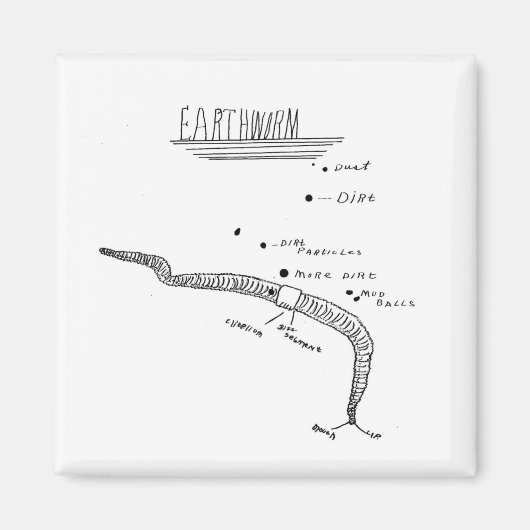 ミミズ解剖学 マグネット (正面)