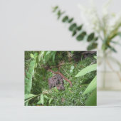 ミミミズ ポストカード (スタンド正面)