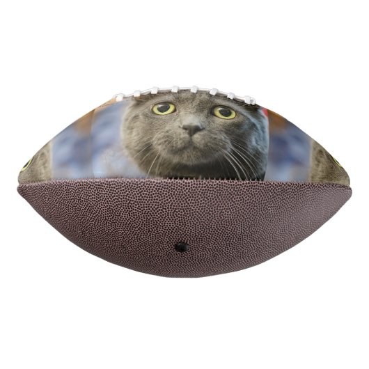 ミミ・ド アメリカンフットボール (回転270)