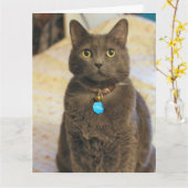 ミムス カード (黄色い花)