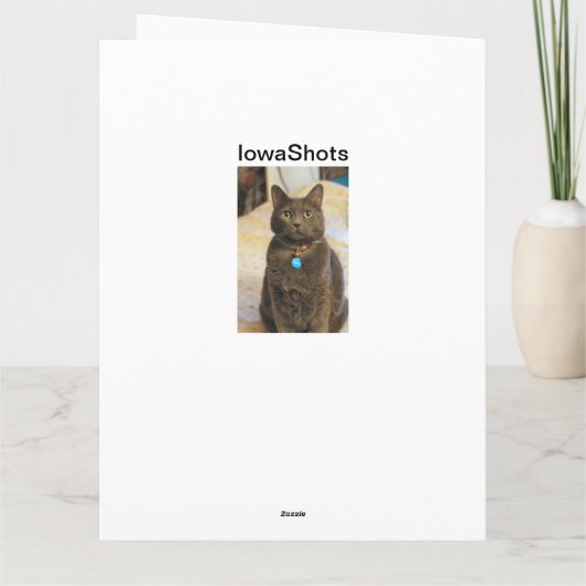 ミムス カード (裏面)