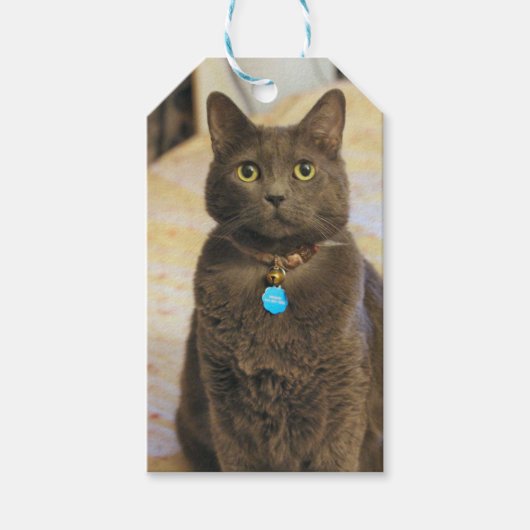 ミムス ギフトタグ (正面)