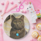 ミムス ペーパープレート (パーティー)