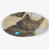 ミムス ペーパープレート (アングル)