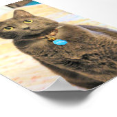 ミムス ポスター (角)