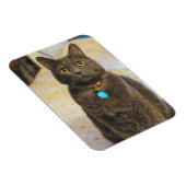 ミムス マグネット (右側)