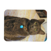 ミムス マグネット (横)