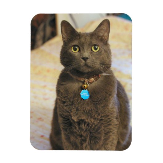 ミムス マグネット (縦)