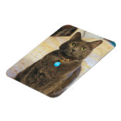 ミムス マグネット (左側)