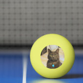 ミムス 卓球ボール (ネット)
