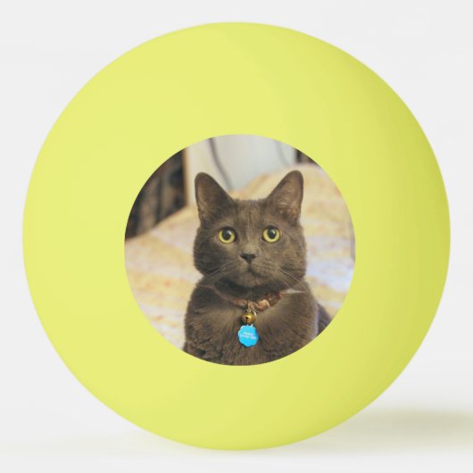 ミムス 卓球ボール (裏面)