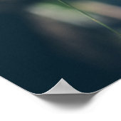 ミモサの木と黄色の花 ポスター (角)