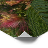 ミモサの木のポスター ポスター (角)