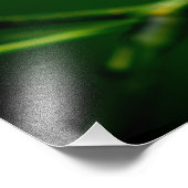 ミモサの木の花 フォトプリント            (角)