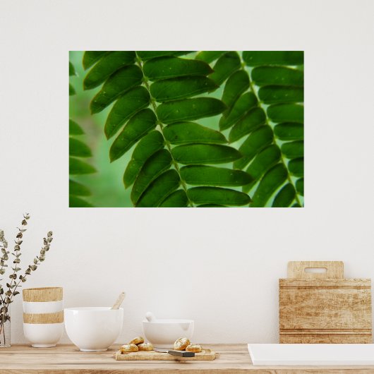 ミモサの秘密 ポスター (キッチン)