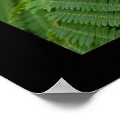 ミモサの花 ポスター (角)