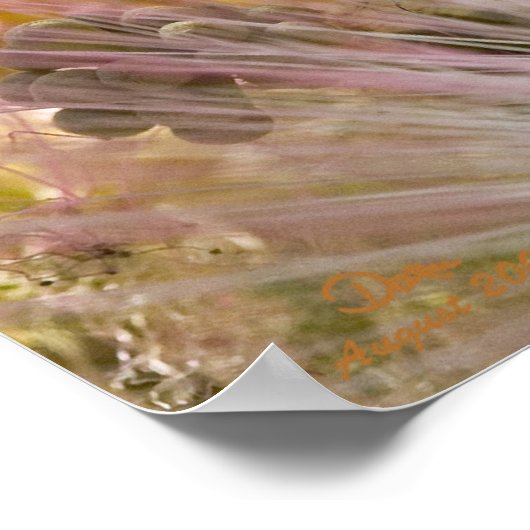 ミモサの花 ポスター (角)