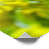 ミモサイエローフラワーフローラ植物写真 ポスター (角)