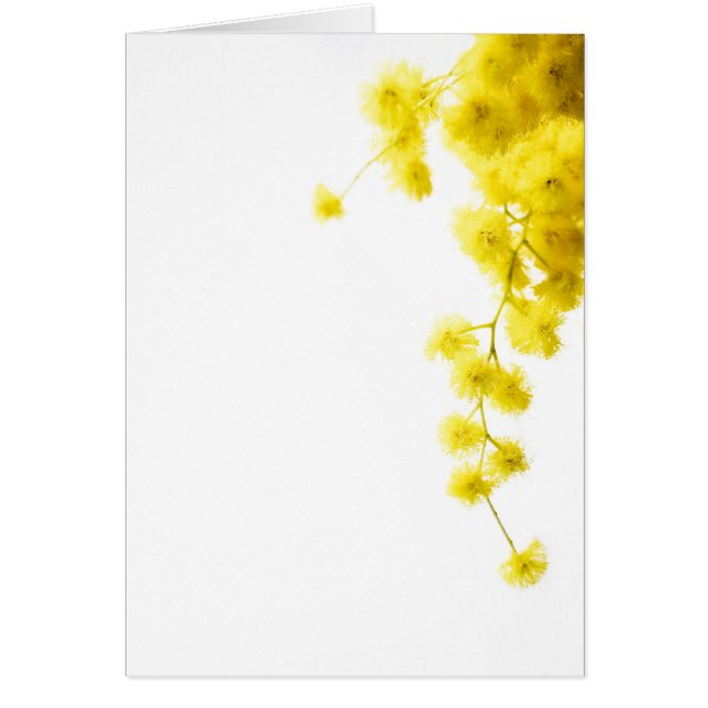 ミモサカード (正面)