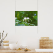 ミモサツリーフラワー ポスター (キッチン)