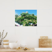 ミモサツリー ポスター (キッチン)